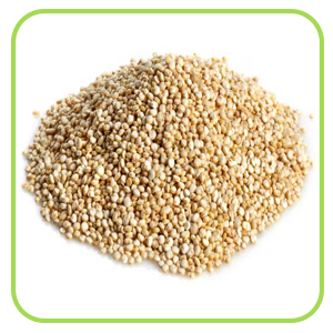 Quinoa